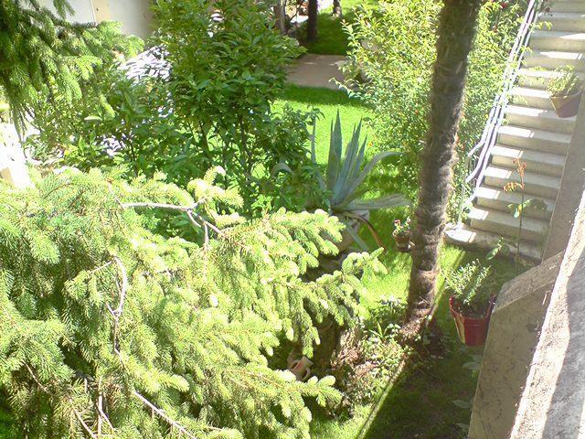Hotel La Pergola Amelie-les-Bains-Palalda ภายนอก รูปภาพ